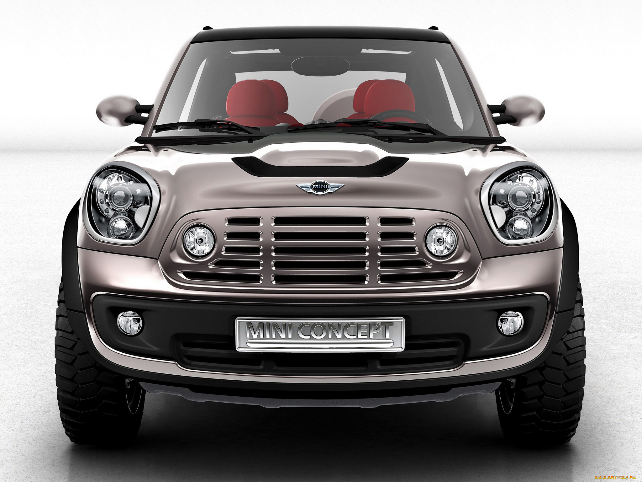 bachcomber, concept, , mini